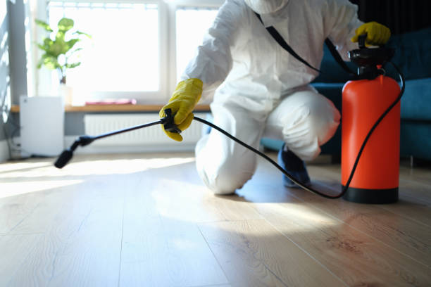Reliable Hoarding Cleanup contractor in Summerfield, IL by Trauma Clean Pros